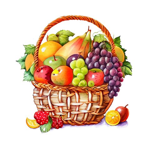 Fruit Basket Illustration, Basket Watercolor, Drawing Stickers, Gourmet Baskets, Apple Illustration, Plum Fruit, Free Fruit, Watercolor Fruit, Vegetable Basket