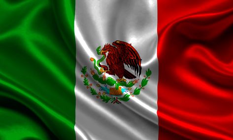 Fun Facts About Mexico, Mexico Wallpaper, Mexican Artwork, Puerto Rican Flag, Mexico History, Italy Flag, Mexican Flags, Mexico Flag, Chicano Art