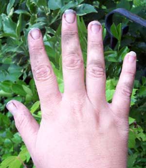 Ugly hands. Especially on men. This is the first thing I ever notice on a person. Elf Nail Polish, Dirty Nails, Hand References, Garden Growing, Paint Inspiration, California Garden, Funny Farm, Quick Makeup, Gardening 101