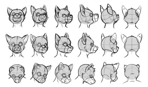 Bird Anthro, Anthro Wolf, Head Outline, View Drawing, Head Base, Head Drawing, Base Drawing, Drawing Dog, Drawing Heads