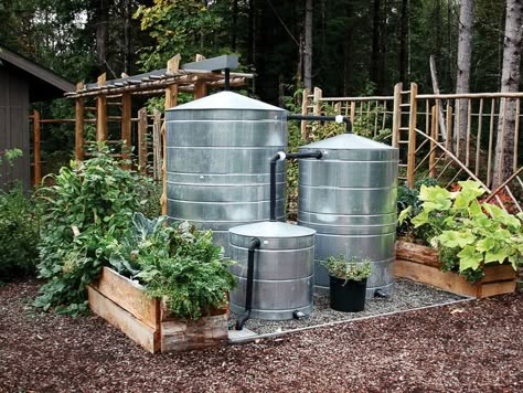 Survival Gardening, Water Collection, Rainwater Harvesting, Rain Barrel, Rain Water Collection, Vegetable Garden Design, How To Store, Veggie Garden, Farm Yard