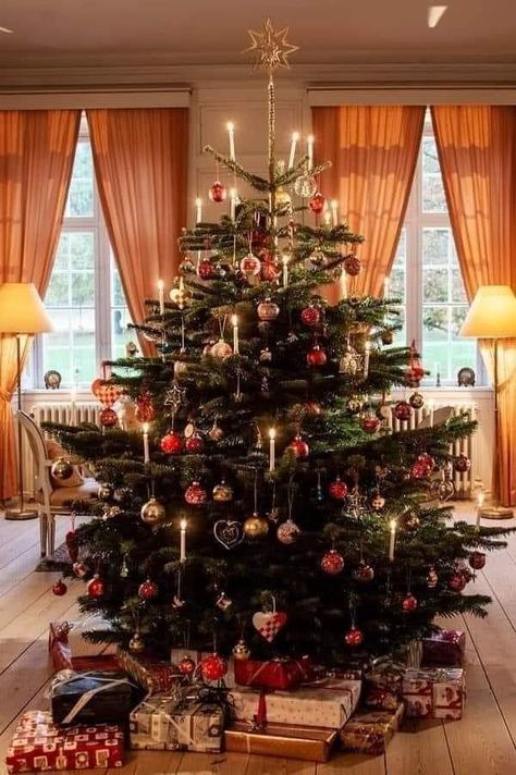 Nordmann Fir Christmas Tree, Easy Diy Christmas Decorations, Ugly Christmas Tree, Christmas Tree Inspo, Danish Christmas, Fir Christmas Tree, Dark Christmas, Popular Christmas Gifts, Cosy Christmas