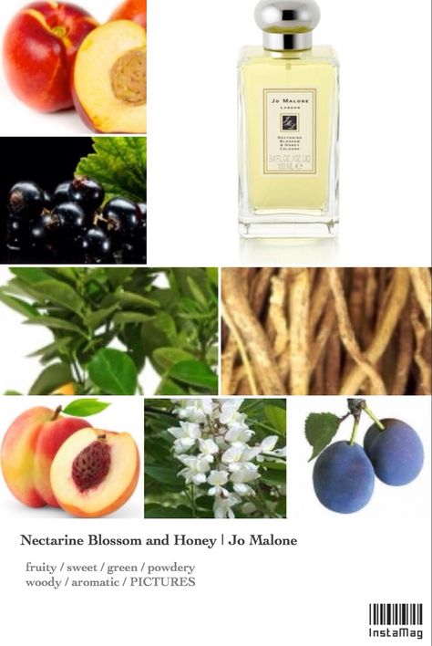 Jo Malone Nectarine Blossom And Honey, Nectarine Aesthetic, Plum Perfume, Nectarine Blossom And Honey, Peach Items, Perfume Wishlist, Nectarine Blossom, Essential Oil Perfumes Recipes, Blossom Perfume