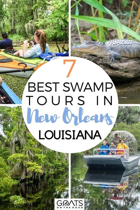 New Orleans Swamp Tour, Tours In New Orleans, Louisiana Vacation, New Orleans Travel Guide, Swamp Tours, New Orleans Vacation, Louisiana Bayou, Louisiana Travel, Visit New Orleans