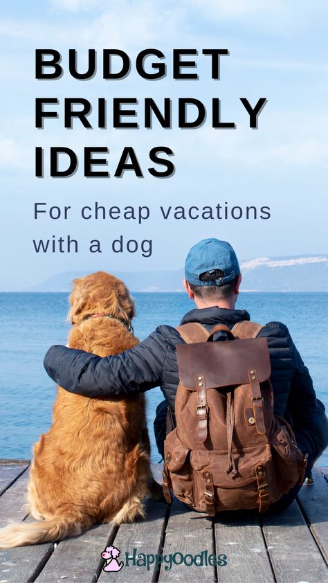 Vacation On A Budget, Cheap Vacations, Dog Friendly Vacation, Pet Friendly Vacations, Dog Advice, Dog Wellness, Friend Vacation, Cheap Vacation, Vacation Goals