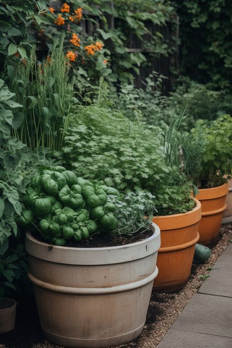 12 Vegetables You Should Be Growing In Buckets! - Mental Scoop Gardening Buckets, Bucket Gardens, Small Garden Spaces, Gemüseanbau In Kübeln, Vegetables In Containers, Fast Growing Vegetables, Patio Container Gardening, Vegetables In Pots, Growing Vegetables In Pots