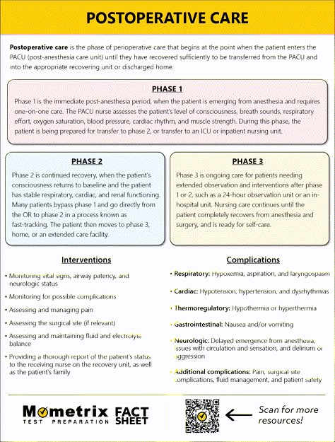 Postoperative Nursing Care, Post Operative Nursing Care, Surgical Drains Nursing, Preoperative Nursing Care, Post Anesthesia Care Unit, Post Op Nursing Care, Pacu Nursing Medications, Conscious Sedation Nursing, Peri Operative Nursing