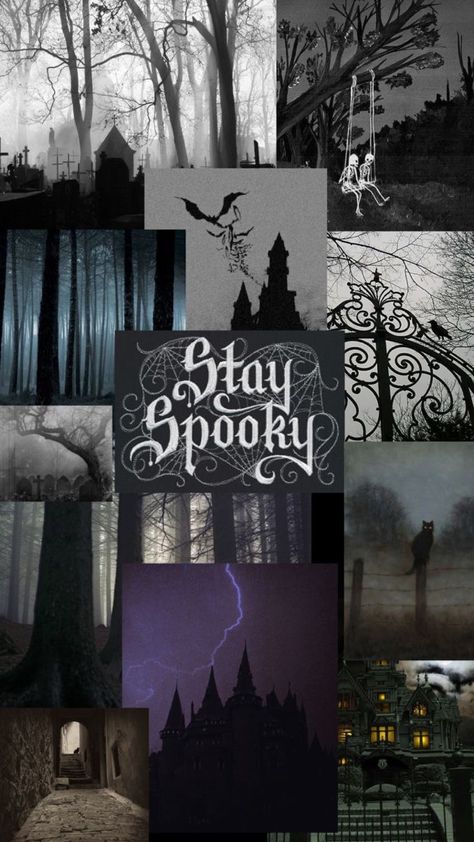 Halloween Wallpaper Creepy, Spooky Wallpaper Iphone Aesthetic, Spooky Wallpaper Aesthetic, Black Halloween Wallpaper, Witchy Wallpaper Iphone, Spooky Wallpaper Iphone, Spooky Wallpapers, Horror Wallpaper, Heeler Dogs