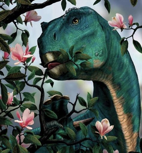 An Iguanodon eating leaves from an early flowering tree by Franco Tempesta Photos Animals, Dinosaur Sketch, Dinosaur Tattoos, Prehistoric Wildlife, All Dinosaurs, Flowering Tree, Ancient Animals, Extinct Animals, Jurassic Park World