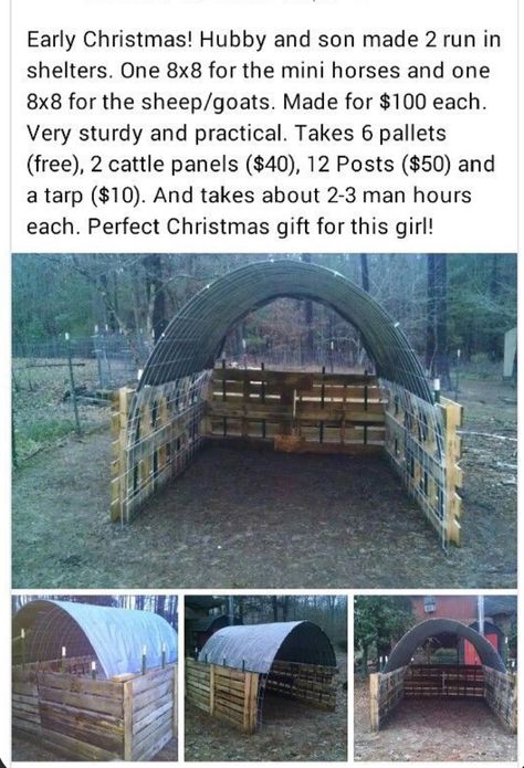 Meat Pig Pen Ideas, Livestock Pens Ideas, Pallet Pig Shelter, Diy Homestead Projects, Diy Goat Shelter, Pallet Shelter, Pig Shelter, Goat Ideas, Goat Playground