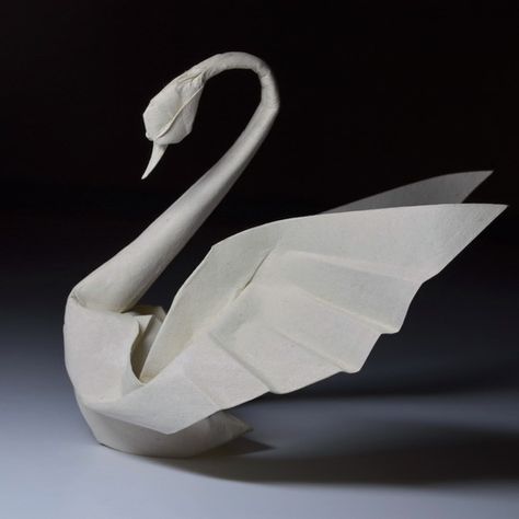 Hoàng Tiến Quyết on Instagram: “#Origami dancing swan Old model, wet folded from 1 uncut triangle of Vietnamese handmade paper  More pictures on http://htquyet.origami.vn…” Origami Goose, Paper Swan, Swan Art, Cheap Diy Crafts, Origami Swan, Origami Step By Step, Wet Paper, Origami Artist, Origami And Quilling