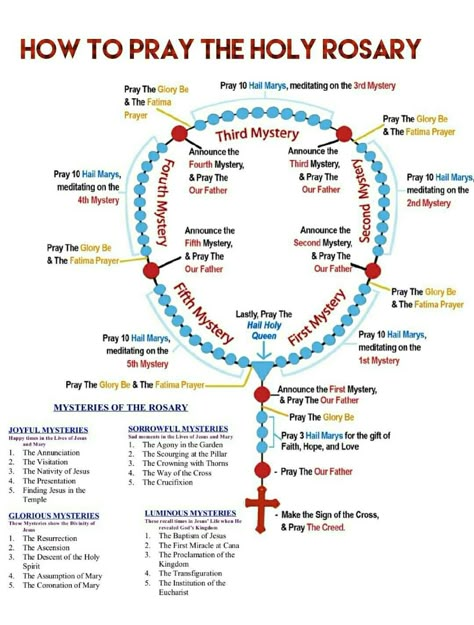 How to pray the holy rosary Rosary Prayer Guide, Praying The Rosary Catholic, Rosary Guide, Pray Rosary, Rosary Prayers Catholic, Saying The Rosary, Rosary Prayers, Catholic Prayers Daily, Prayers Catholic