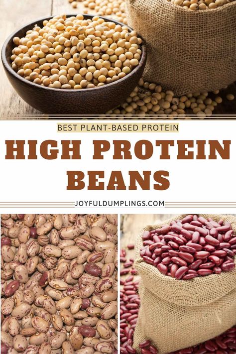 beans with most protein Best Beans For Protein, High Protein Beans, Protein Beans, Health Benefits Of Beans, Beans And Legumes, Freeze Beans, Man Recipes, Protein In Beans, Types Of Beans