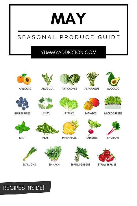 A seasonal produce guide highlighting fruits and vegetables that are at their best in May. Tips on how to use them and recipes inside! #produce #may #spring #vegetables #fruits #seasonal Fruits And Vegetables In Season, Vegetables In Season, Blueberry Spinach Smoothie, Seasonal Produce Guide, Scallions Recipes, Lettuce Recipes, Apricot Recipes, Pineapple Recipes, Mint Recipes