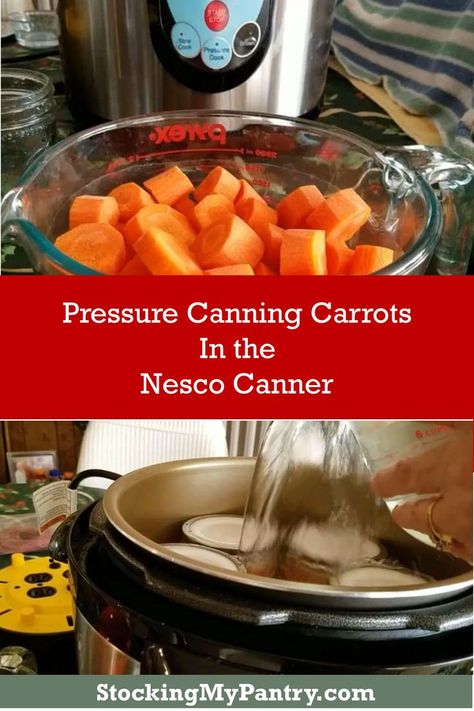 Follow this step-by-step guide to effortlessly preserve your carrots using the Nesco Electric Canner, maintaining their freshness and taste Nesco Smart Canner Recipes, Nesco Electric Pressure Canner Recipes, Nesco Pressure Canner Recipes, Electric Pressure Canner Recipes, Pressure Canner Recipes, Electric Pressure Canner, Canning Carrots, Canning Corn, Canned Carrots