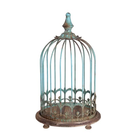 Antique Bird Cages Vintage, Ornate Bird Cage, Bird Cage Art, Bird Cage Tattoo, Bird Cage Vintage, Birdcage Tattoo, Butterfly Cage, Bird Tattoo Sleeves, Cage Tattoo