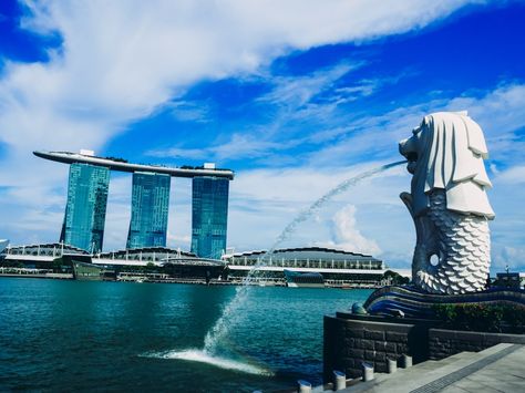 Top Singapore Tourist Attractions and How Much Each Costs to Visit :http://www.theoutcastjourney.com/top-singapore-tourist-attractions/ Singapore Tourist Attractions, Budget Vacation, Travel Savings, Boat Ride, Southeast Asia Travel, Road Trip Hacks, Wanderlust Travel, Asia Travel, Marina Bay