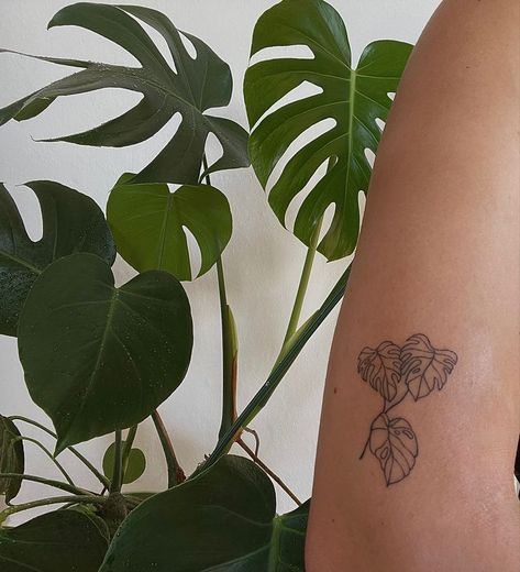 Simplistic Frog Tattoo, Monteras Plant Tattoo, Plant Tattoo Placement, Plant Tattoo Aesthetic, Tattoo Ideas Artsy, Plant Tattoos Arm, Cool Plant Tattoos, Back Plant Tattoo, Monstera Deliciosa Tattoo