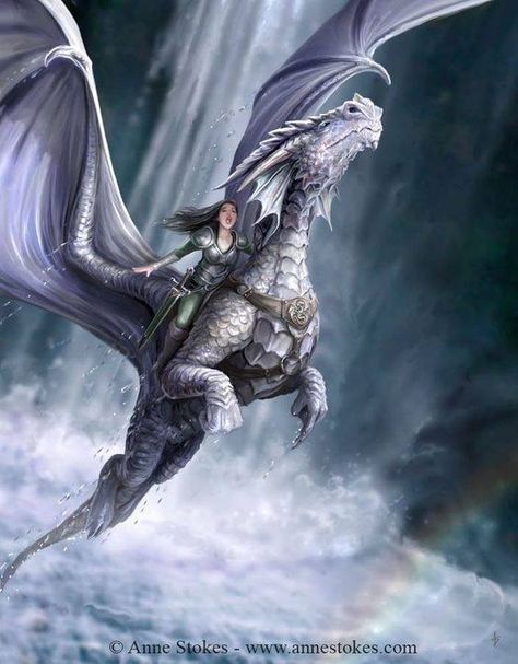 Anne Stokes Art, Creature Fantasy, Dragon Dreaming, Anne Stokes, Dragon Artwork Fantasy, Fairy Dragon, Dragon Rider, Dragon Pictures, White Dragon