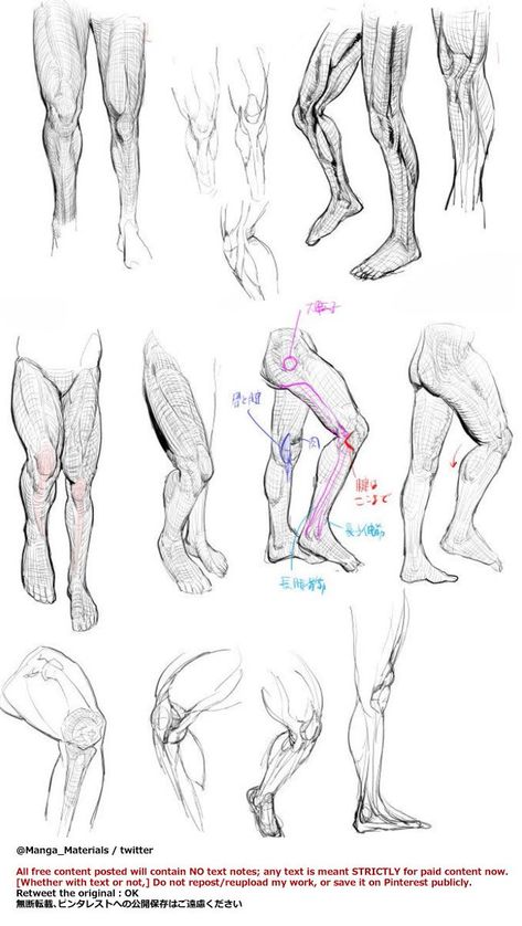 #Legs #Knee #LegReference #FigureDrawing #AnatomyReference #Anatomy Figure Drawing Tutorial, Male Figure Drawing, Drawing Legs, Body Sketches, Human Figure Drawing, Anatomy Sketches, Anatomy Poses, 캐릭터 드로잉, Gesture Drawing