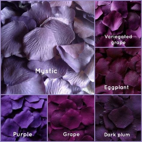 Unique Color Names, Fake Rose Petals, Purple Colour Shades, Petal Toss, Color Knowledge, Silk Rose Petals, Color Mixing Chart, Shade Card, Color Palette Challenge