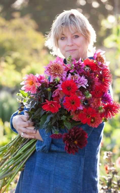 Sarah Raven, Growing Dahlias, Chelsea Flower Show, Dahlia Flower, Single Flower, Garden Soil, Plant Design, Cool Plants, Summer Garden