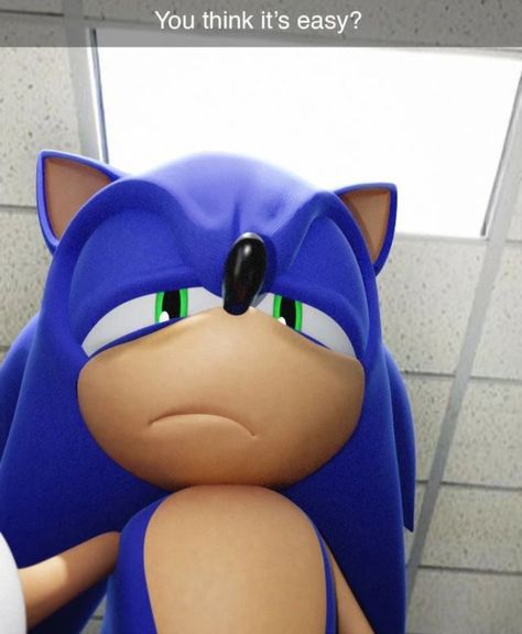 Hedgehog Meme, Overwatch Mei, Sonic Videos, Sonic Mania, Sonic Funny, Sonic Franchise, Blue Hedgehog, Sonic 3, Sonic Adventure