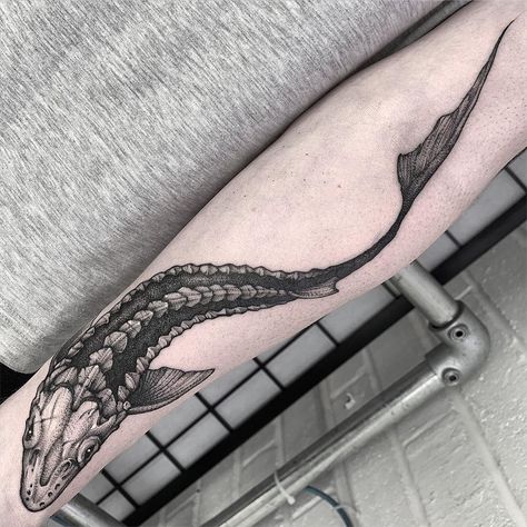 A drop of black on Instagram: “Tattoo artist: @heukdo__  #a_drop_of_black” Sturgeon Tattoo, Small Fishing Tattoo, Fishing Tattoo Ideas, Tattoo Hunting, Hunting Fishing Tattoo, Fly Fishing Tattoo, White Sturgeon, Sturgeon Fish, Traditional Tattoo Flash Art