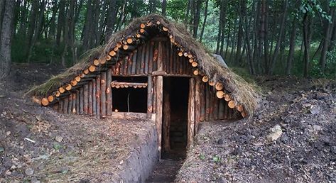 Wilderness Long-Term Survival Guide Survival Shelter Long Term, Bushcraft Shelter Long Term, Forest Shelter, Nicole Apelian, Living In The Woods, Wilderness Survival Shelter, Wilderness Living, Grid Ideas, Off Grid Survival