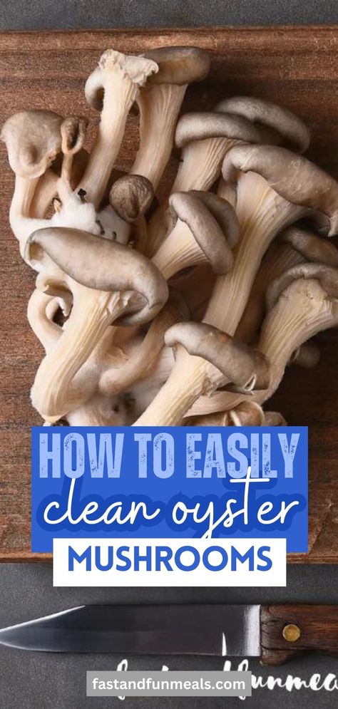 How To Prepare Oyster Mushrooms, Cooking Oyster Mushrooms, Recipes With Oyster Mushrooms, Cooking With Mushrooms, How To Cook Oyster Mushrooms, Blue Oyster Mushrooms Recipes, Golden Oyster Mushroom Recipe, Oyster Mushrooms Recipes, Oyster Mushroom Recipes