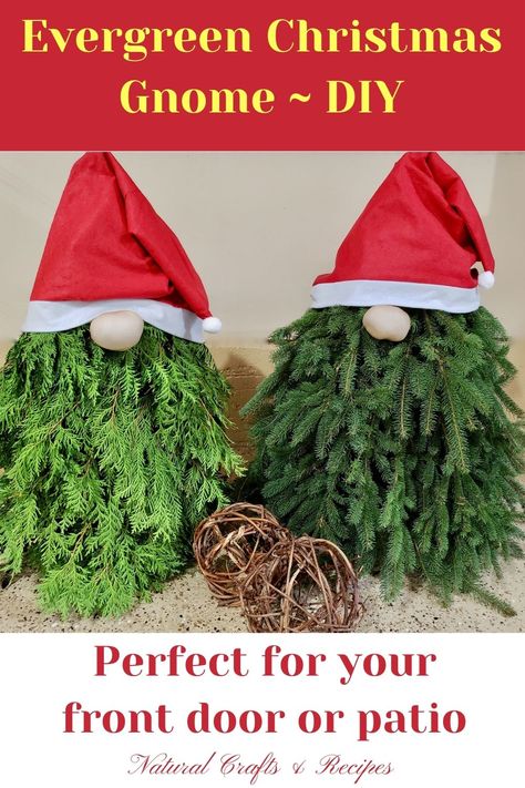 Pine Tree Gnomes Diy, Greenery Gnomes Diy, How To Make A Gnome Nose, Gnome Making Tutorial, Cedar Gnomes Diy, Tomato Cage Nome, Christmas Knomes Evergreen Tree, Cedar Christmas Decor, Tomato Cage Santa