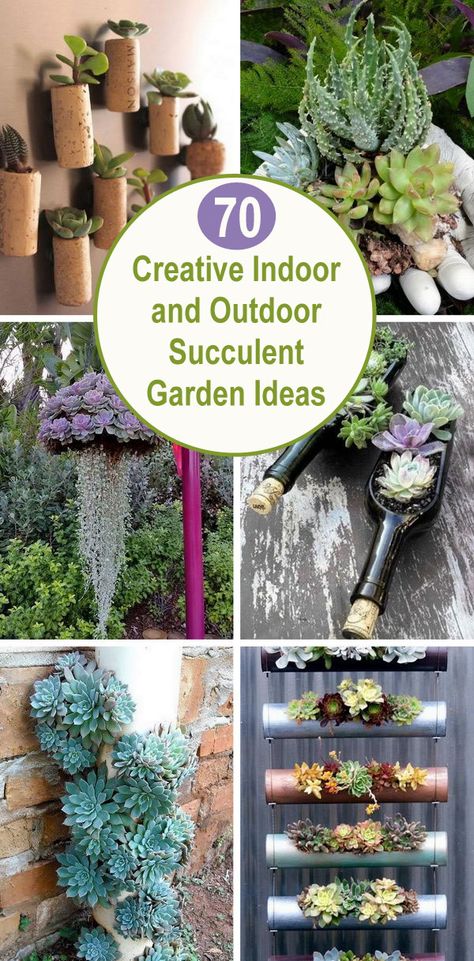 Creative Indoor And Outdoor Succulent Garden Ideas. Vertical Succulent Wall, Succulent Diy Ideas Crafts, Succulent Wall Indoor, Diy Succulent Wall Decor, Succulents Decoration Ideas, Succulent Display Ideas Indoor, Hanging Succulent Planter, Hanging Succulents Outdoor, Succulent Garden Design Outdoors