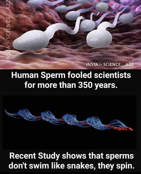 Scientific Facts, Interesting Science Facts, Biology Facts, True Interesting Facts, Cool Science Facts, Interesting Facts About World, Amazing Science Facts, 1000 Life Hacks, Life Hacks Computer