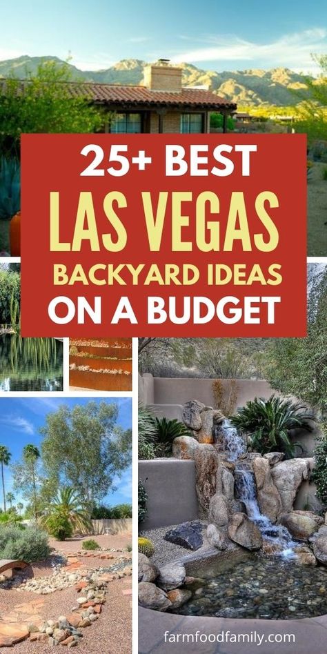 25+ Best Las Vegas Backyard Landscape Ideas 27 Desert Landscaping Backyard On A Budget, Las Vegas Backyard Landscaping Ideas, Nevada Landscaping Ideas, Las Vegas Landscaping Ideas, Vegas Backyard Ideas, Small Desert Backyard Ideas, Las Vegas Backyard Ideas, Az Backyard Ideas, Backyard Desert Landscaping