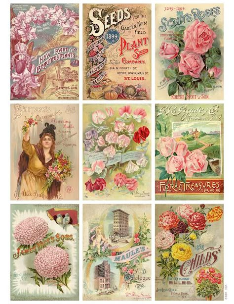 Jodie Lee Designs: Free Printable Download! Vintage Seed Packet Cards! Vintage Seed Packets, Flower Seeds Packets, Etiquette Vintage, Postal Vintage, Free Vintage Printables, Seed Pack, Seed Catalogs, Atc Cards, Vintage Printable