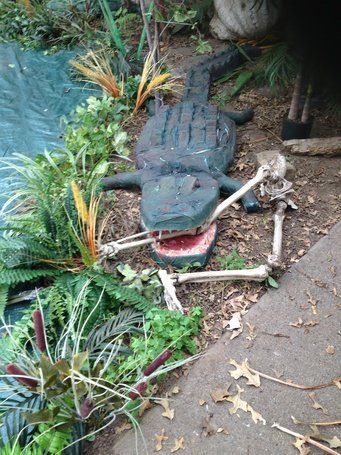 Voodoo Bayou Halloween Party, Bayou Halloween Decor, Haunted Swamp Halloween, Halloween Swamp Theme, Louisiana Halloween, Haunted Bayou, Swamp Alligator, Bayou Halloween, Swamp Halloween