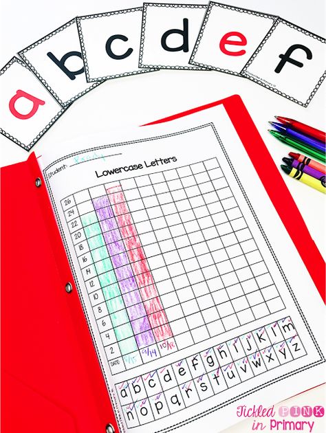 Use these 1st grade assessment and data tracking folders to keep track of how your students are doing in reading and math. These are great for monthly check-ins or report card time! Assess their alphabet knowledge using this graph and alphabet flashcards. 1st Grade Assessment, Student Data Folders, Data Folders, Data Wall, Emergent Literacy, Data Notebooks, Data Tracking, Preschool Literacy, Student Information