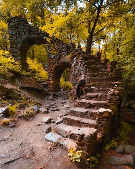 The New Forest England, New England Forest, Maine Forest, New Forest England, Fantasy Realm, A Mansion, Quiet Place, Background Ideas, Autumn Scenery