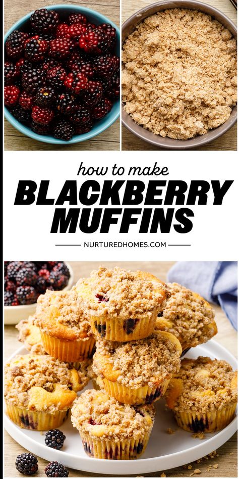 Sour Cream Blackberry Muffins - Nurtured Homes Blackberries Recipes, Blackberry Recipes Easy, Oatmeal Blueberry Muffins Healthy, Blackberry Muffins, Blackberry Muffin, Blueberry Oatmeal Muffins, Blackberry Crumble, Cinnamon Crumble, Blackberry Recipes