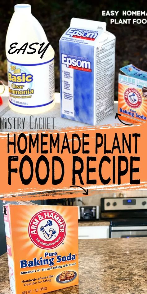 Homemade Miracle Grow For Plants, Diy Miracle Grow Recipe, Miracle Grow Recipe, Diy Plant Food, Miracle Grow Diy, Plant Tricks, Plant Food Diy, Home Made Fertilizer, Homemade Plant Fertilizer