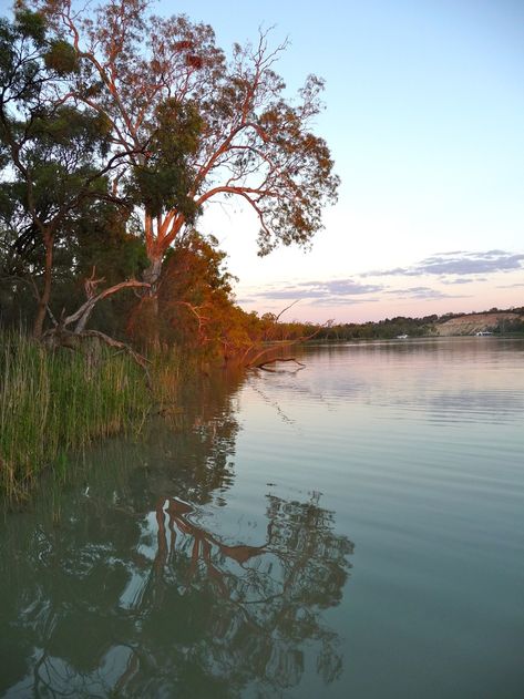 The Murray River, South Australia (scheduled via http://www.tailwindapp.com?utm_source=pinterest&utm_medium=twpin) Painting Studies, Australian Landscapes, West Australia, Beautiful Australia, Murray River, Visit Wales, Pastel Landscape, Travel Australia, Rock Pools