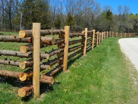 Rustic Fencing Ideas, Rustic Fence Ideas, Log Fence, Rustic Garden Fence, Fast Growing Vines, Log Ideas, Garden Fence Art, Diy Garden Fence, Rustic Fence