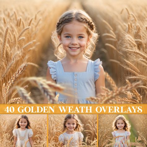 Golden Field, Photographer Marketing, Editing Effects, Golden Wheat, Wheat Field, Overlays Transparent, Photographs Ideas, Wheat Fields, Photoshop Overlays