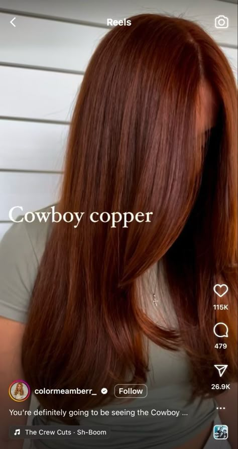 Dark Rooted Red Hair, Ruby Fusion Hair Color, Long Autumn Hair, Copper Hair Dark Brows, Christmas Copper Hair, Cowboy Copper Hair Dark Skin, Copper Brown Hair Fair Skin, Auburn Copper Hair On Latinas, Cowboy Copper Brown Hair