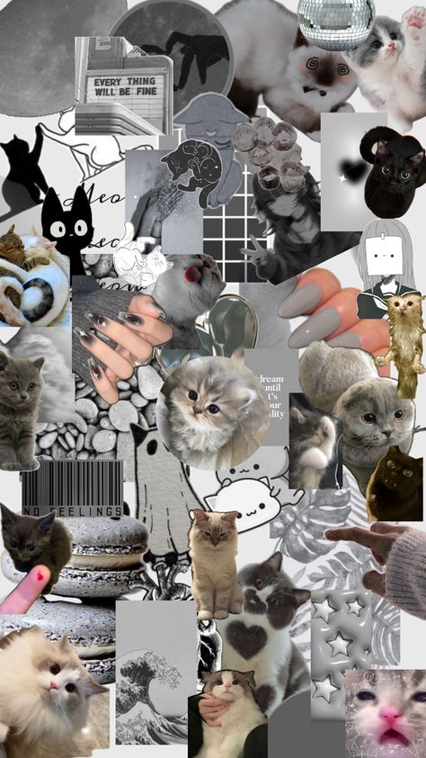 Super cute college gray aesthetic, cat lover Graycore Aesthetic, Gray Cat Wallpaper, Grey Cat Aesthetic, Grey Cat Wallpaper, Cat Collage, Aesthetic Cat, Gray Cat, Grey Cat, Gray Aesthetic