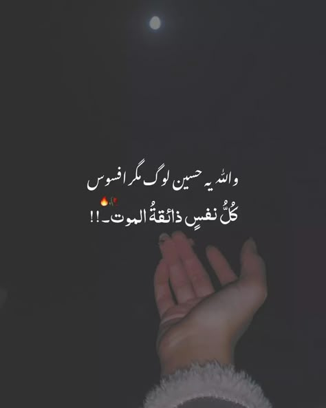 Urdu Quotes Images, Happy Birthday Love Quotes, Good Insta Captions, Just Happy Quotes, Amazing Inspirational Quotes, Best Quotes From Books, Look Up Quotes, Cute Couple Quotes, Inspirational Quotes With Images