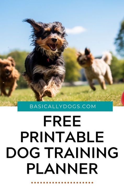 Are you a new pet parent looking for the best printable dog training plan template? We've got you covered with a free printable. Dog Training Plan, Obedience Training For Dogs, Training Plan Template, Training Planner, Puppy Training Schedule, Dog Template, Printable Dog, Basic Dog Training, Tail Wagging