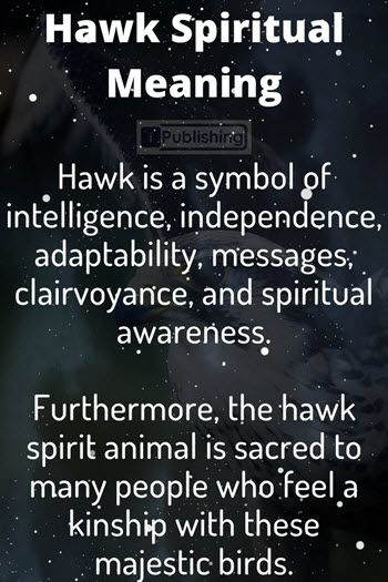 What Does It Mean If You See A Hawk - Spiritual Symbolism - iPublishing Hawk Spiritual Meaning, Hawk Meaning, Hawk Symbolism, Rabbit Symbolism, Hawk Spirit Animal, Hawk Spirit, Spirit Animal Meaning, Animal Meanings, Pagan Spirituality