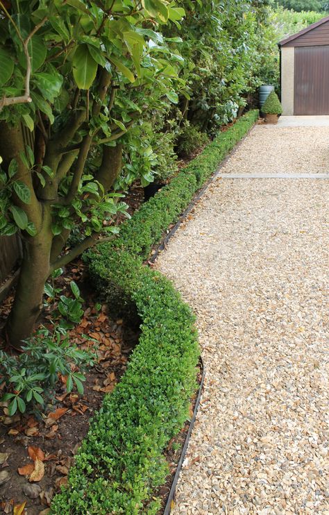 Long gravel driveway and box hedging Gravel Driveway Edging, Gravel Driveway Landscaping, Front Driveway Ideas, Hedges Landscaping, Front Garden Ideas Driveway, Garden Ideas Driveway, Driveway Edging, Driveway Entrance Landscaping, Garden Hedges