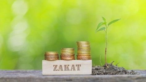 Zakat: What is it and How much should I pay?  An introductory guide on Zakat.  #ramadan #eidulfitr #muslims #zakat Business Thoughts, Online Learning Platform, What Is Marketing, Golden Coin, Retirement Fund, Business Funding, Oil Industry, Islamic Studies, Learn Quran